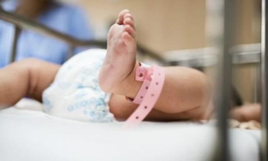 La tasa de natalidad cayó 40% y los hogares sin hijos ya son mayoría...