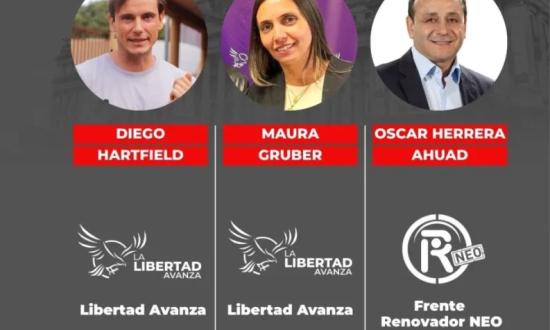 La Libertad Avanza logró dos lugares en la Cámara Baja y el Frente Renovador Neo uno.