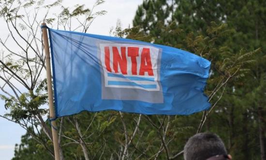 Pese al rechazo de Diputados, el Gobierno Nacional eliminó la Dirección Nacional del INTA