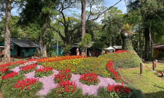 Más de 6.000 visitantes y 450 orquídeas en exhibición: Montecarlo celebró una nueva edición de su tradicional Fiesta de la Flor y la Orquídea