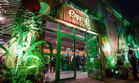 Comienza este sábado en Posadas la Expo Té Argentina, un evento que impulsa la producción gourmet y orgánica y atrae a visitantes de todo el país